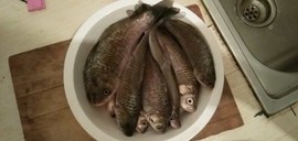 👉印第安老斑鸠👈主播照片
