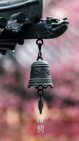 超持久“桑拿天”来了主播照片
