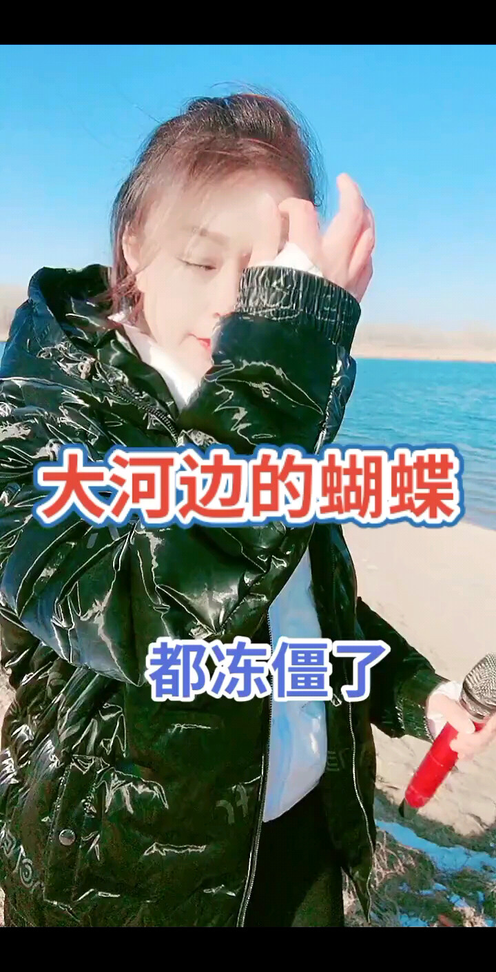 酒醉的蝴蝶
