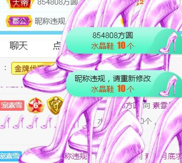 素雪恭贺飞总荣升的图片