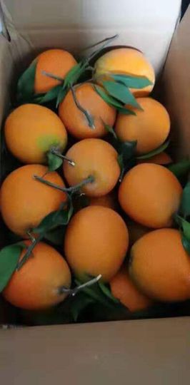 小艾回湖北不定时播主播照片