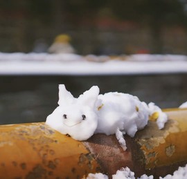 ღ瑋玮主播照片