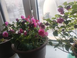 熊大合肥南京苏州青岛主播照片