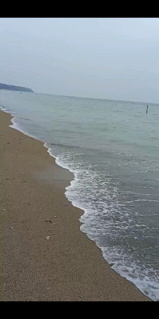 早上在海边吹吹海风。