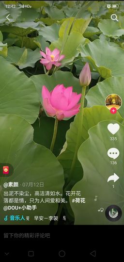 💞夜深人静主播照片
