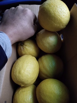 凑美没人爱主播照片