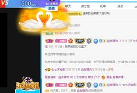 七七爱打王者主播照片