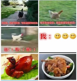艾欣休息2号播主播照片