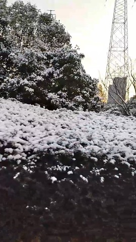 凑美没人爱主播照片