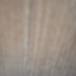 ?滿眼都是陽光美好?