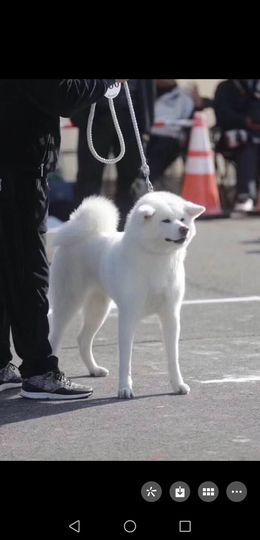 ：鬼公子---主播照片