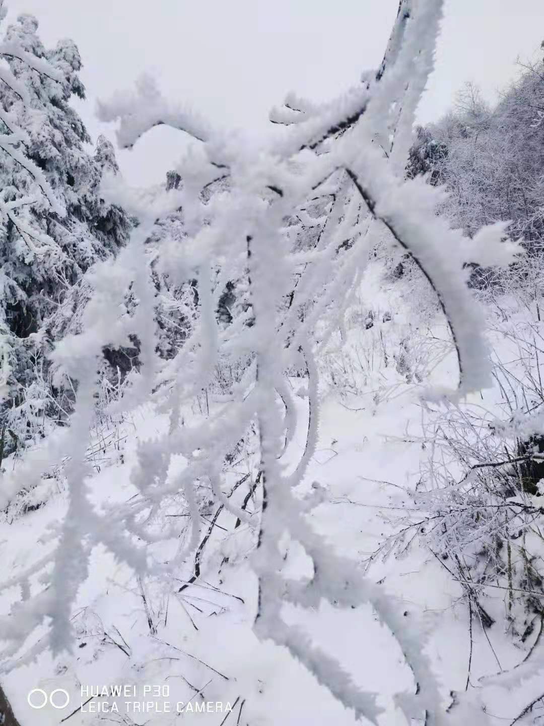 过年了过年了~~的主播照片