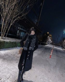 红墙白雪确实喜欢的图片