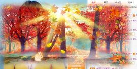 笑笑暂退主播照片