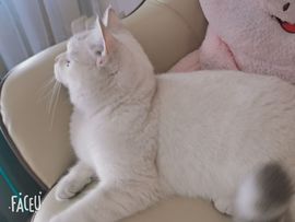 ☆诺熙💞很甜的图片