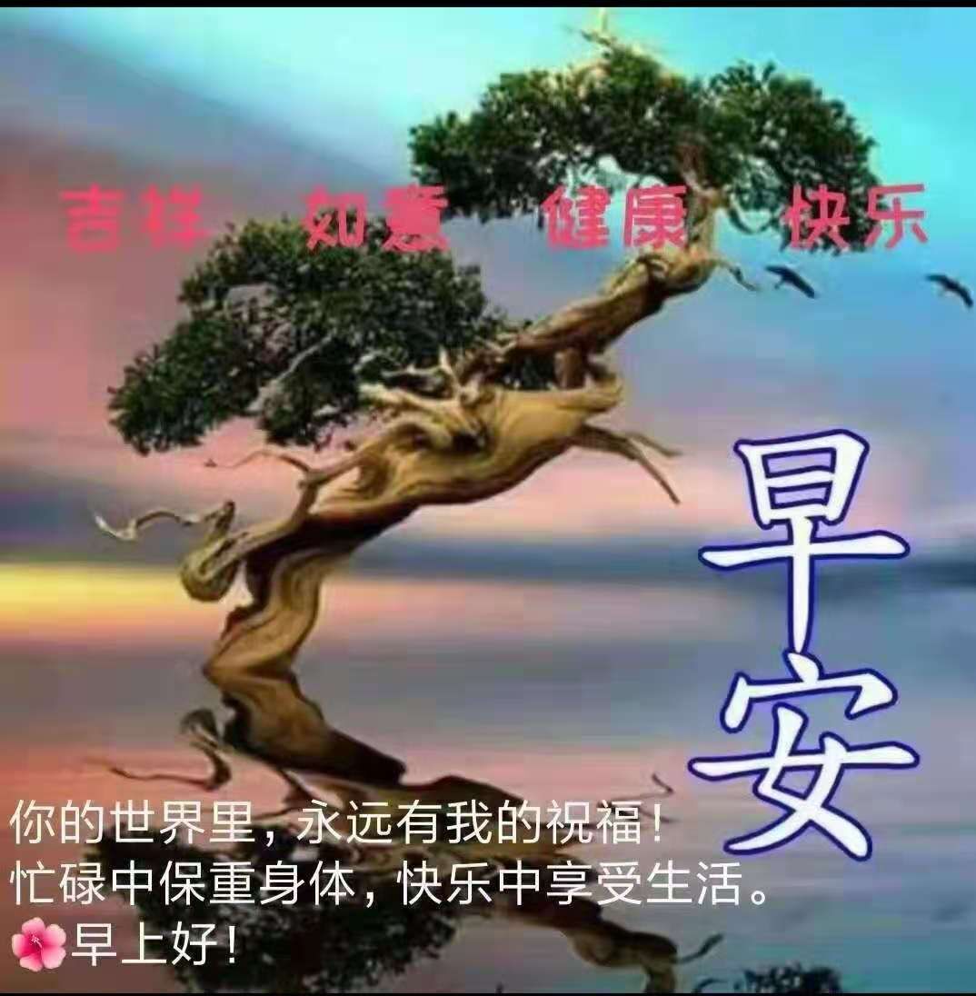 紫薇☆☆音乐频道的图片