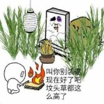 你双车头灯我抓定了