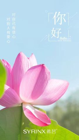 新人茹梦暂休主播照片