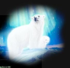 小鸭💞愿有一束光的图片