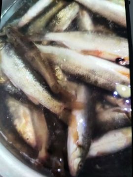 熊大合肥南京苏州青岛主播照片