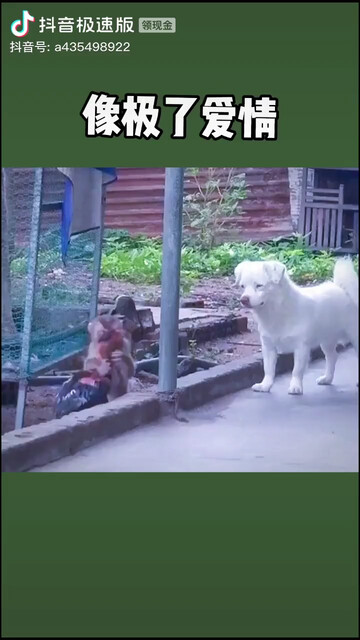 抠门色眼会嫁吗
