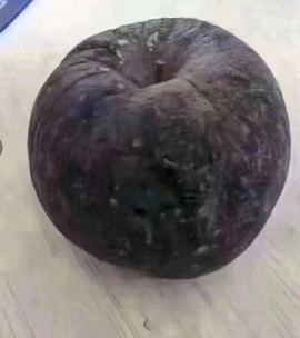🎵小邓丽君🌺溪儿主播照片