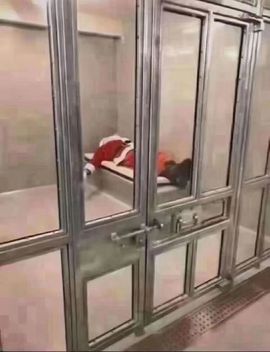 馨小艺🎀主播照片