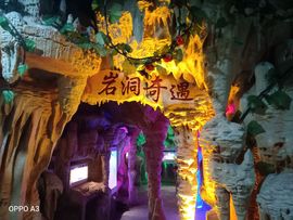爱在晚秋🐲（关关）的图片
