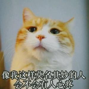 酒夢(mèng)8888的主播照片