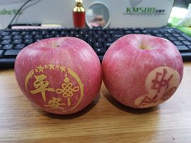 逗比婷儿主播照片