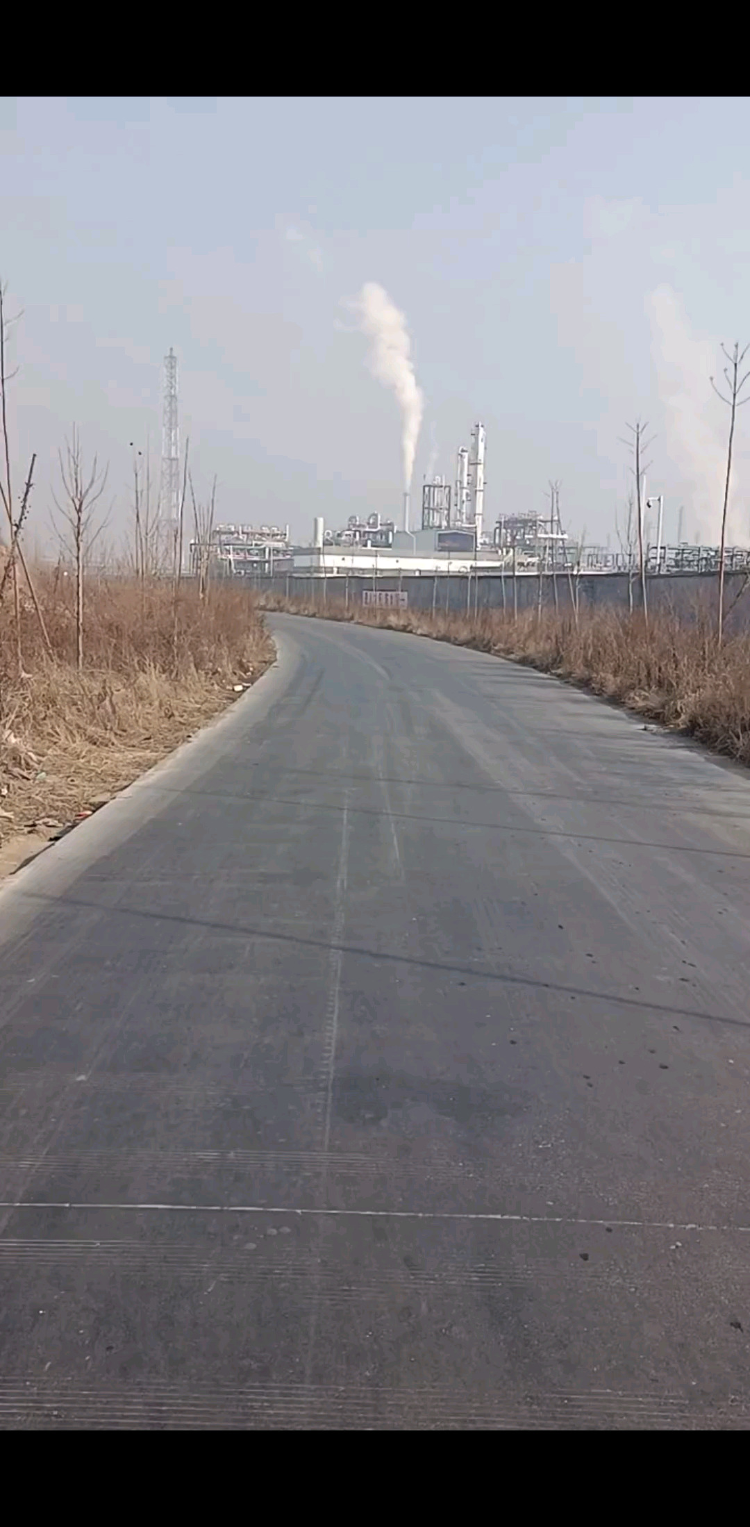 今天是你十二年生日，风雨同舟，