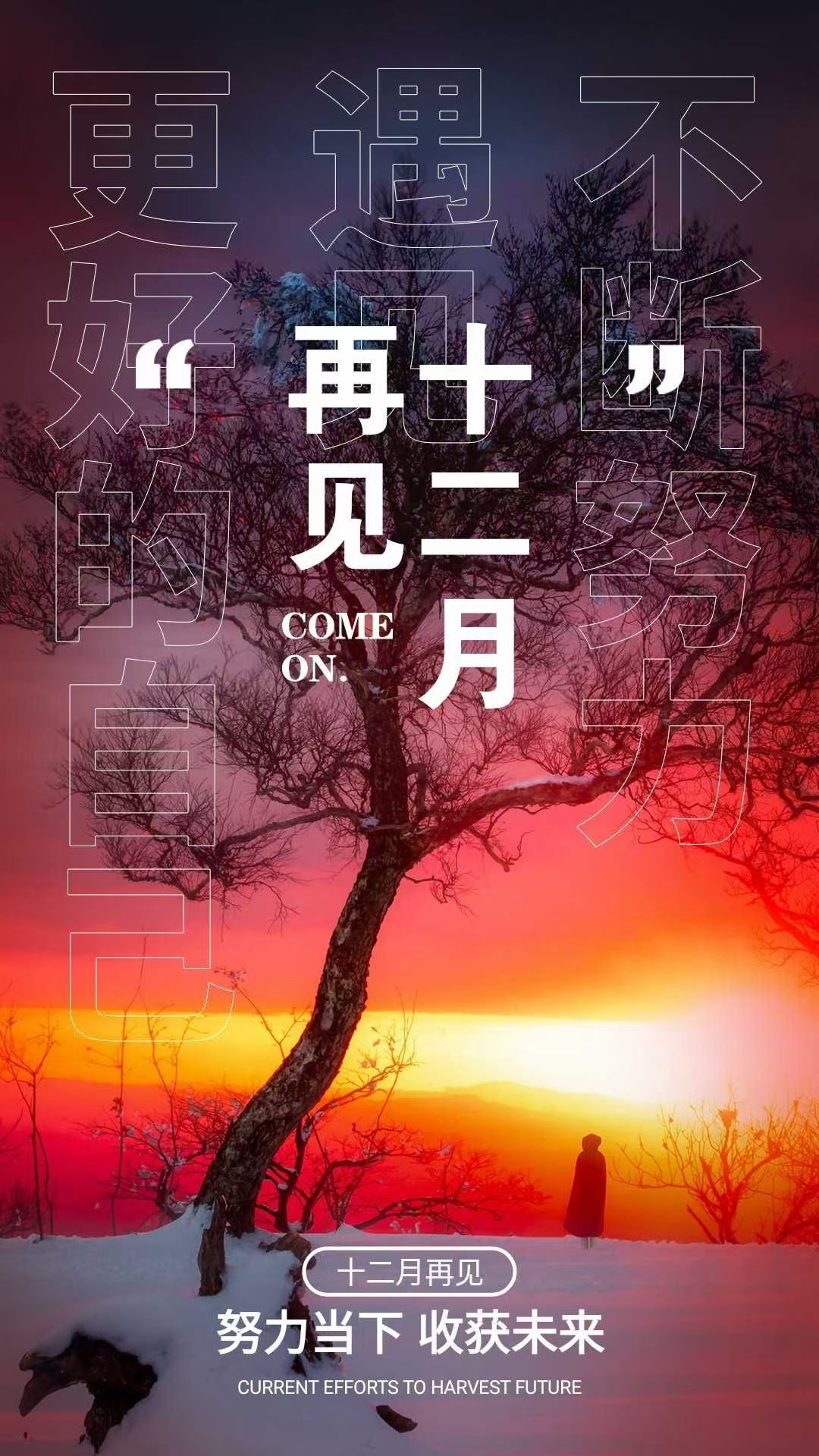 MobB87024a主播照片