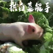 2021大富大贵海报
