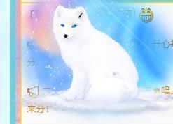 逗比婷儿主播照片