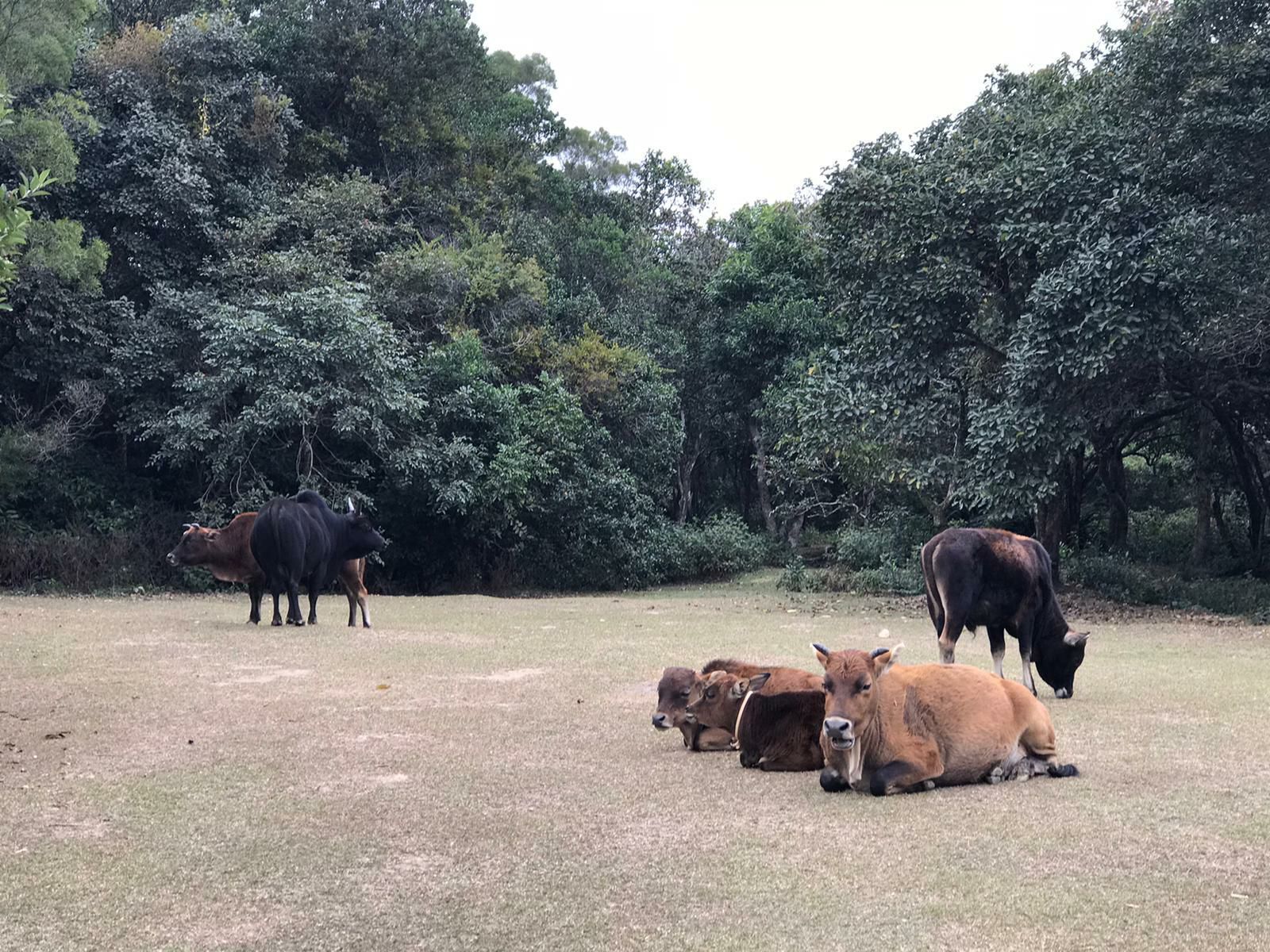 zozokeris的主播照片