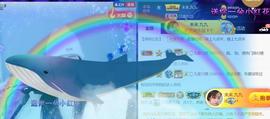 九公主99主播照片