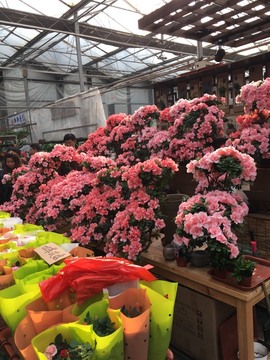 社会💞夭夭（退）主播照片