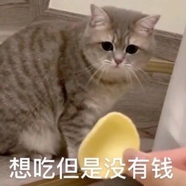 雯雯退主播照片