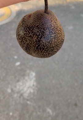 筱一✿．休的图片