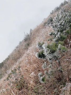 ♬默默✨小蛮宝☞🌜主播照片