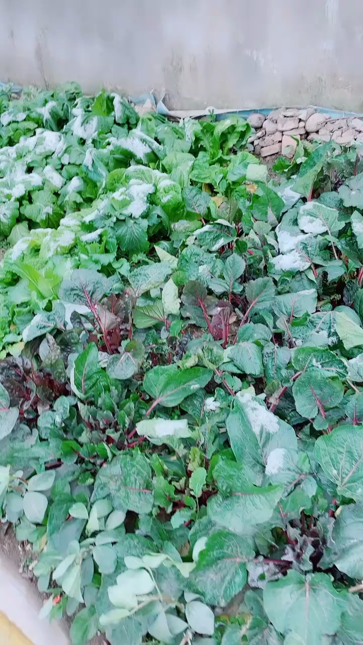 还是有点冷
