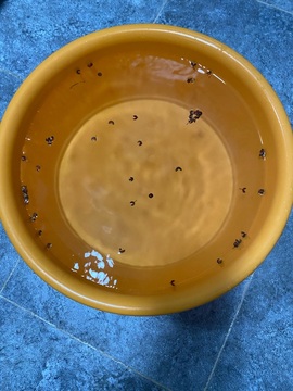 鑫儿～主播照片