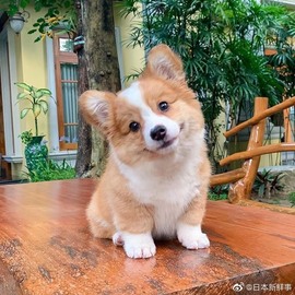 参会人数主播照片