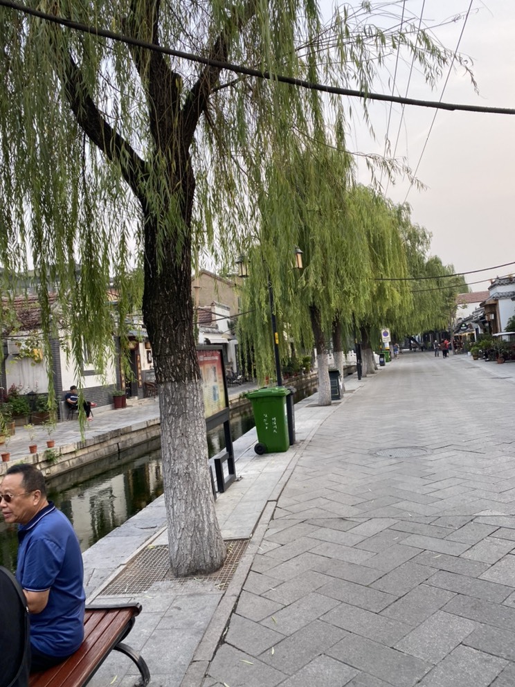 佳琦佳期的图片