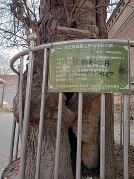 鼎&amp;主播照片