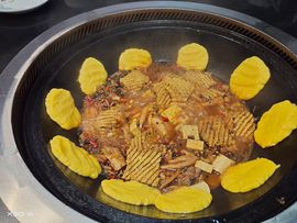 ♬♪百音百顺♪♬主播照片
