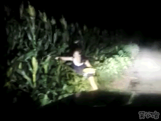 知己知辟百战不殆的主播照片