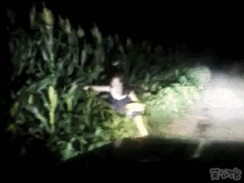 知己知辟百战不殆主播照片