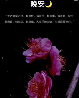 🍂湘。。✨主播照片