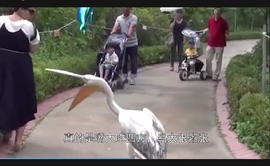 勇⑦气主播照片